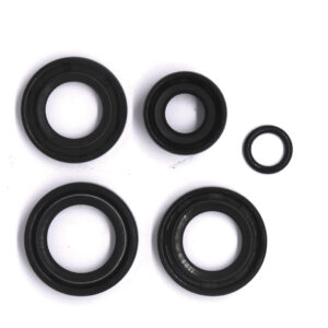 Oil seal complet