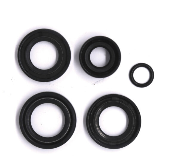 Oil seal complet