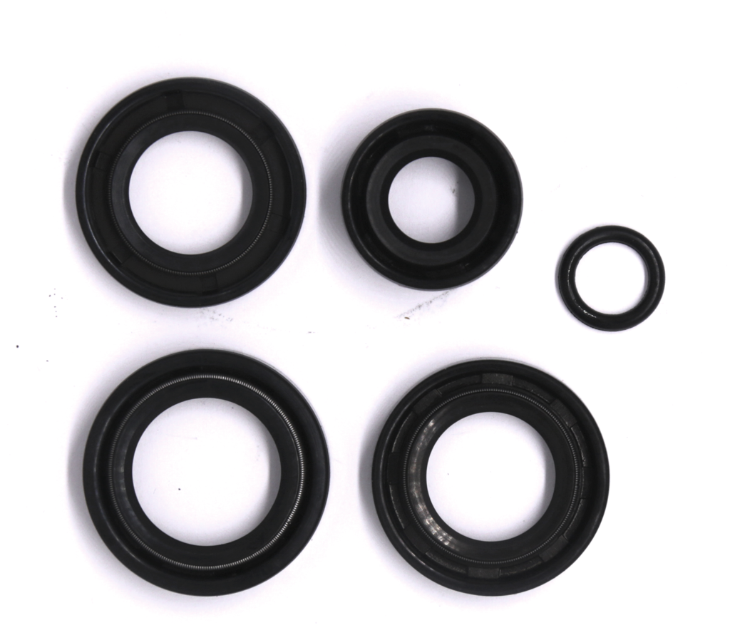 Oil seal complet