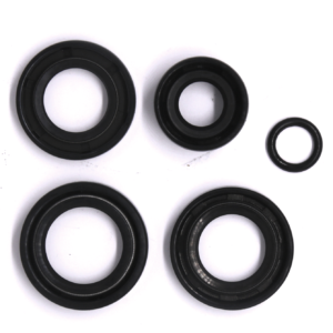 Oil seal complet