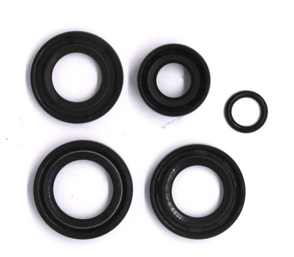 Oil seal complet