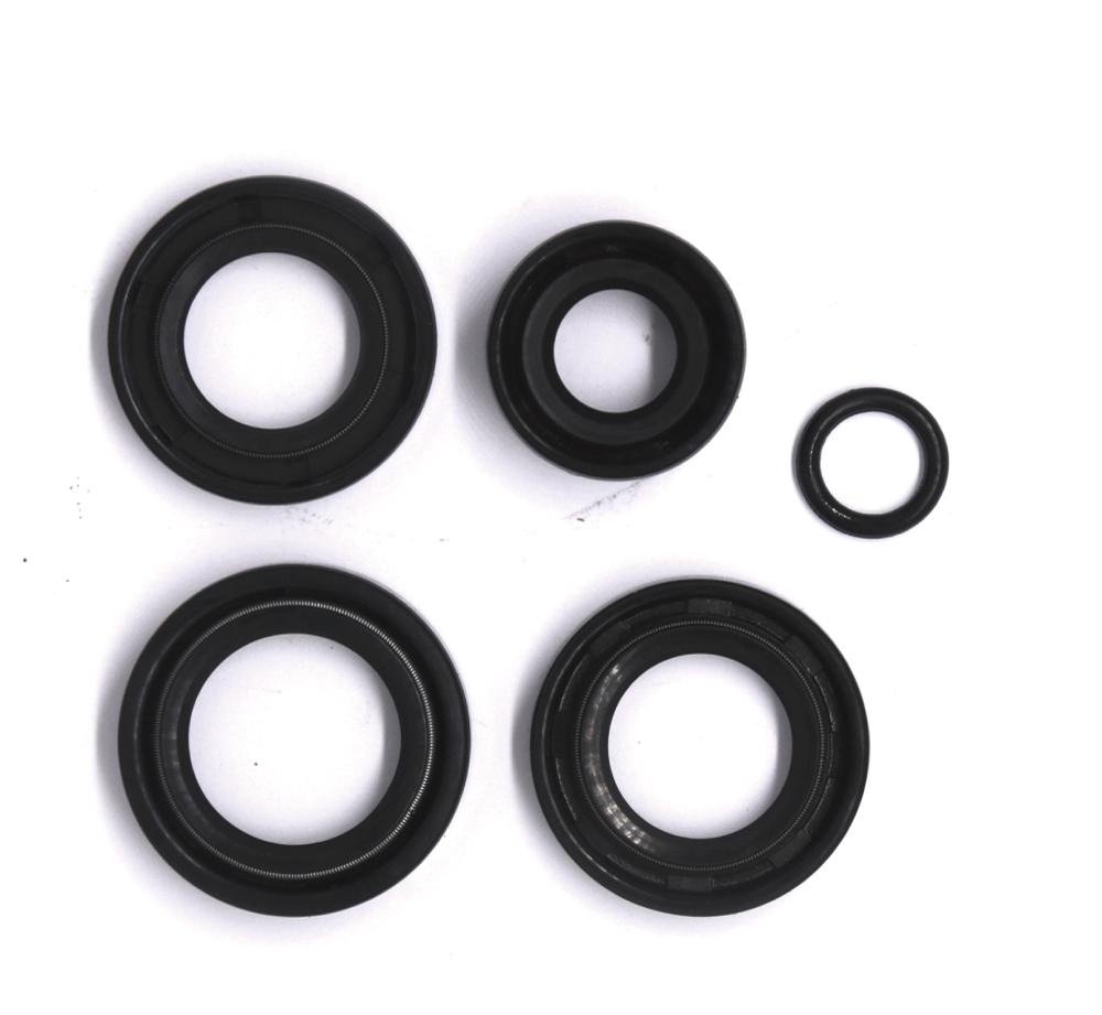 Oil seal complet
