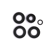 Oil seal complet