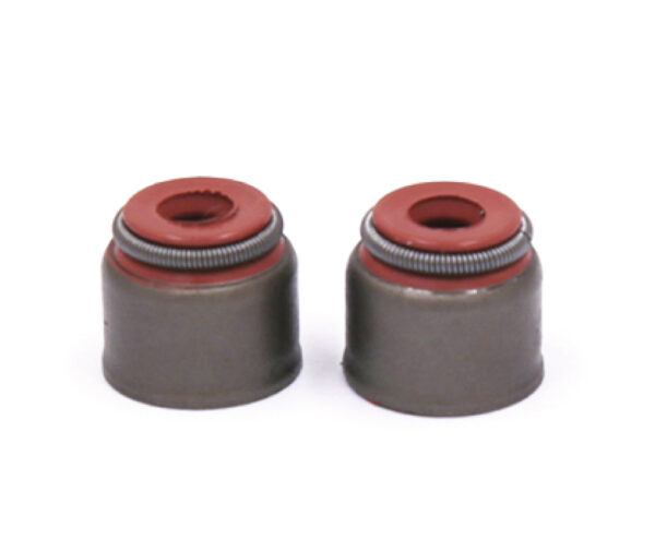 Valve seal