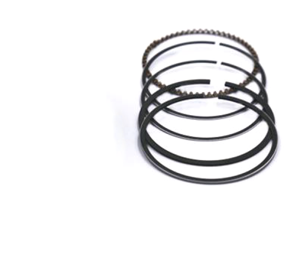 Piston ring