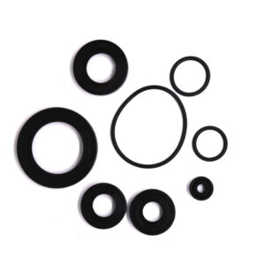 Oil seal complet
