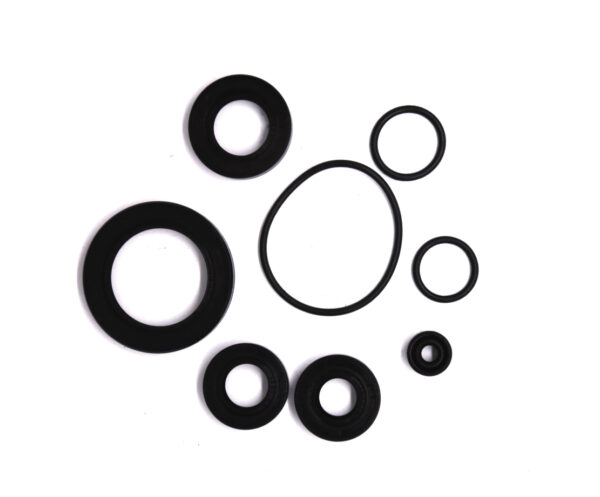 Oil seal complet
